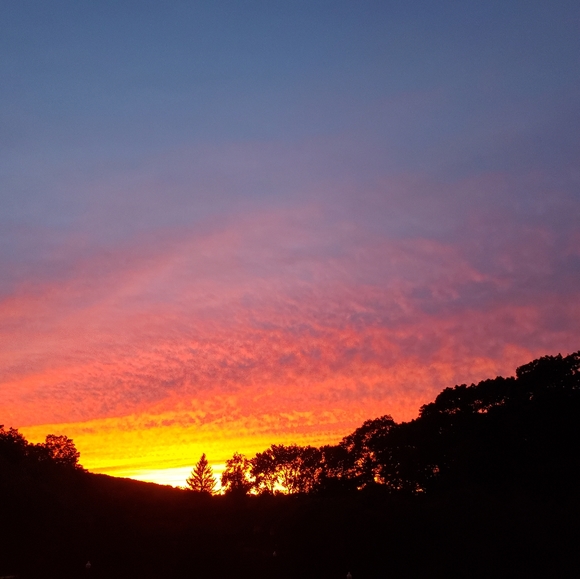 Meet your Posher, Stacey - Picture 5 of 13